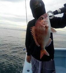 東京湾探釣隊ぼっち 釣果