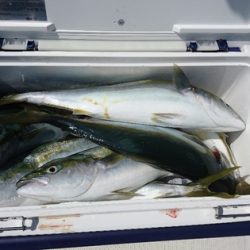 遊漁船ブルーウッズ 釣果