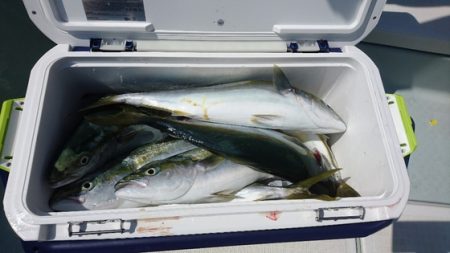 遊漁船ブルーウッズ 釣果