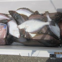 大進丸（新潟） 釣果