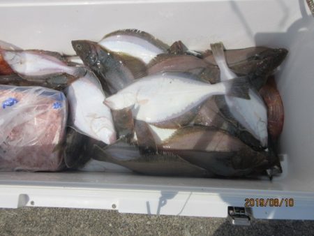 大進丸（新潟） 釣果