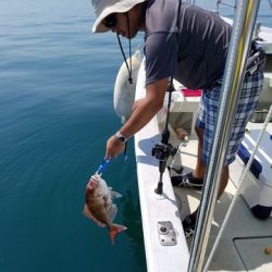 遊漁船 ニライカナイ 釣果