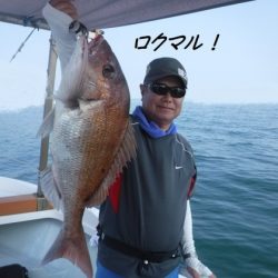 遊漁船 幸友丸 釣果