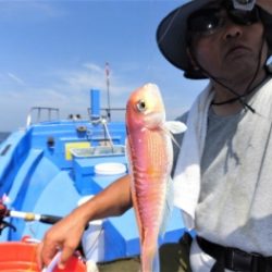 鯛紅丸 釣果