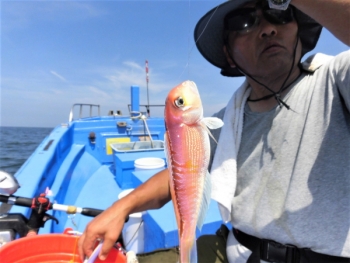 鯛紅丸 釣果