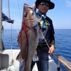 鯛紅丸 釣果
