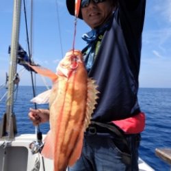 鯛紅丸 釣果