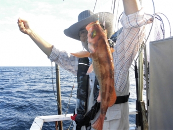 鯛紅丸 釣果