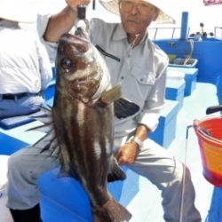 鯛紅丸 釣果