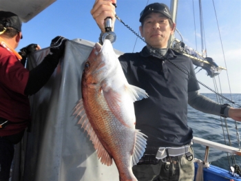 鯛紅丸 釣果