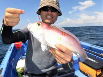 鯛紅丸 釣果