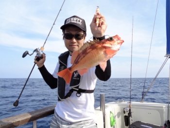 鯛紅丸 釣果
