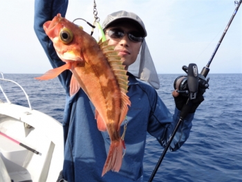 鯛紅丸 釣果