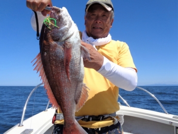 鯛紅丸 釣果