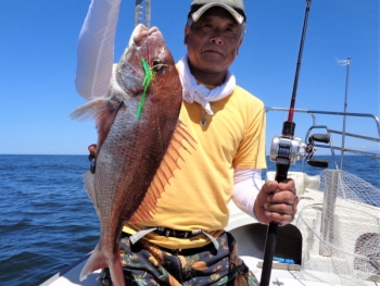 鯛紅丸 釣果