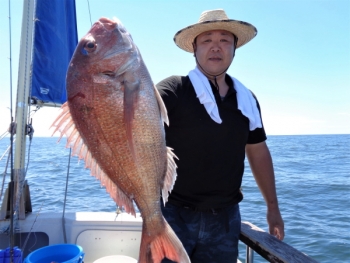 鯛紅丸 釣果