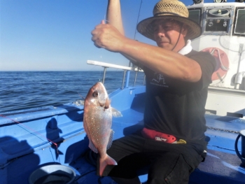 鯛紅丸 釣果