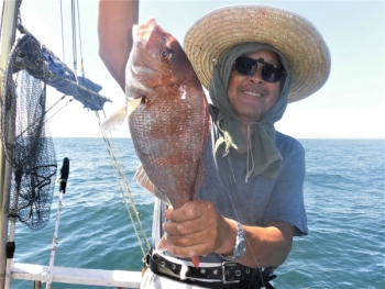 鯛紅丸 釣果