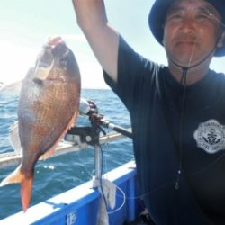 鯛紅丸 釣果
