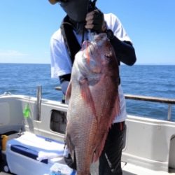 鯛紅丸 釣果
