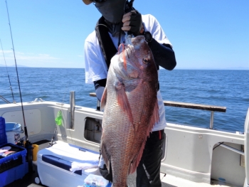 鯛紅丸 釣果