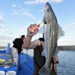 鯛紅丸 釣果