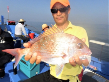 鯛紅丸 釣果