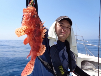 鯛紅丸 釣果