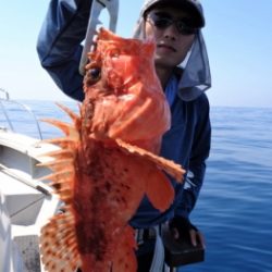 鯛紅丸 釣果