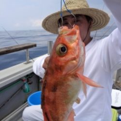 鯛紅丸 釣果