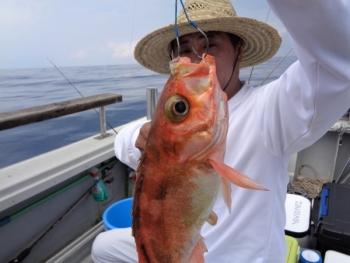 鯛紅丸 釣果