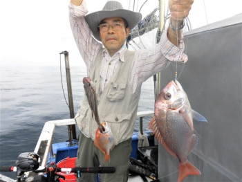 鯛紅丸 釣果