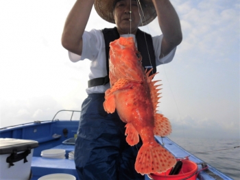鯛紅丸 釣果