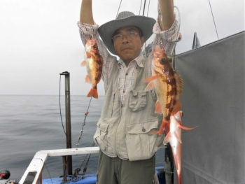 鯛紅丸 釣果