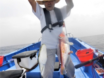 鯛紅丸 釣果