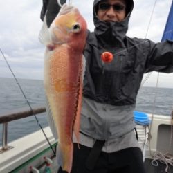 鯛紅丸 釣果