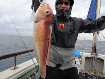 鯛紅丸 釣果