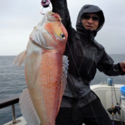 鯛紅丸 釣果