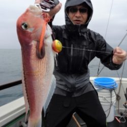 鯛紅丸 釣果