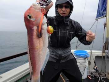 鯛紅丸 釣果
