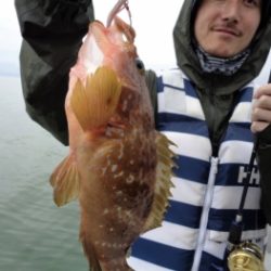 鯛紅丸 釣果