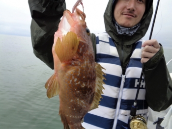 鯛紅丸 釣果