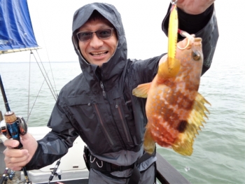 鯛紅丸 釣果