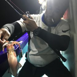 釣船 浦島太郎 釣果