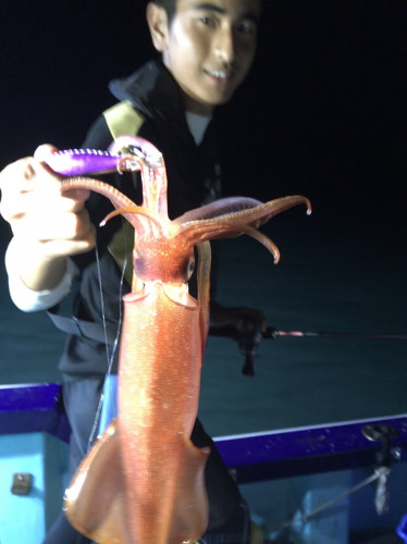 釣船 浦島太郎 釣果