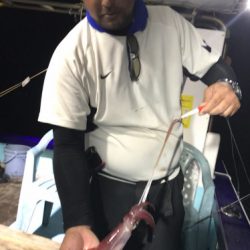 釣船 浦島太郎 釣果