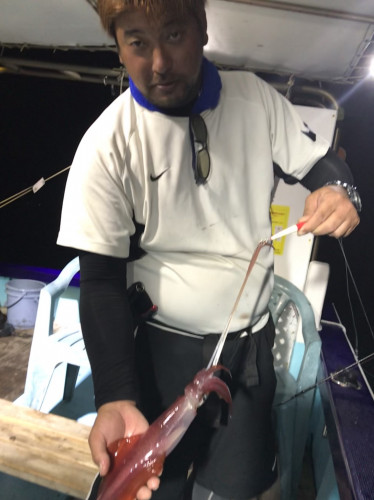 釣船 浦島太郎 釣果