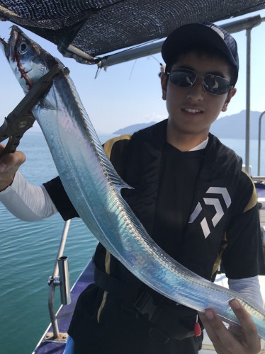 釣船 浦島太郎 釣果