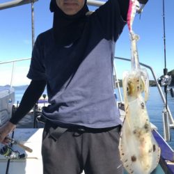 釣船 浦島太郎 釣果