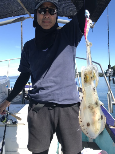 釣船 浦島太郎 釣果